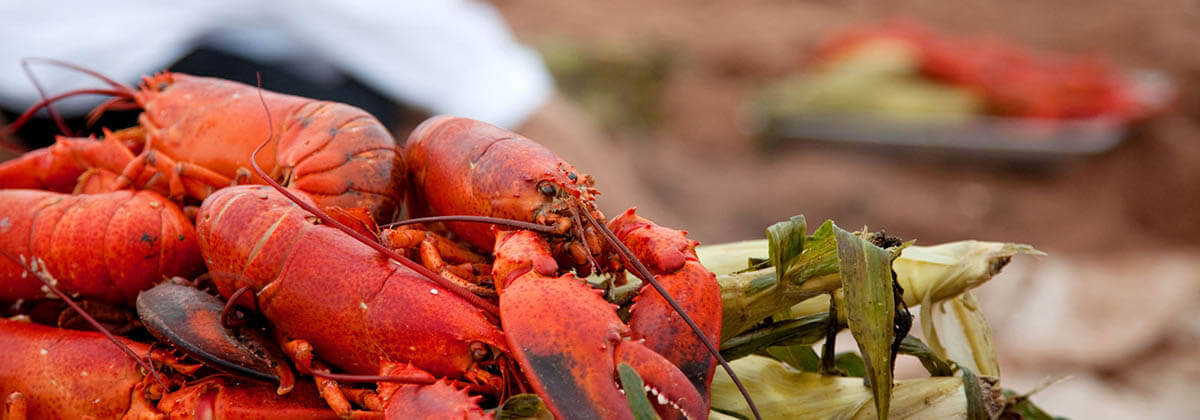 PEI Fall Flavours Festival