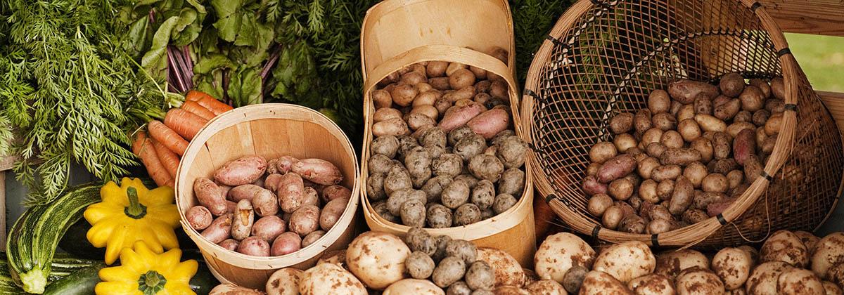 PEI Fall Flavours Festival